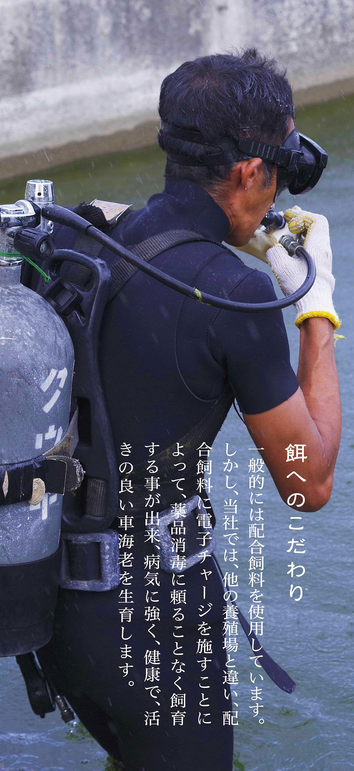 餌へのこだわり