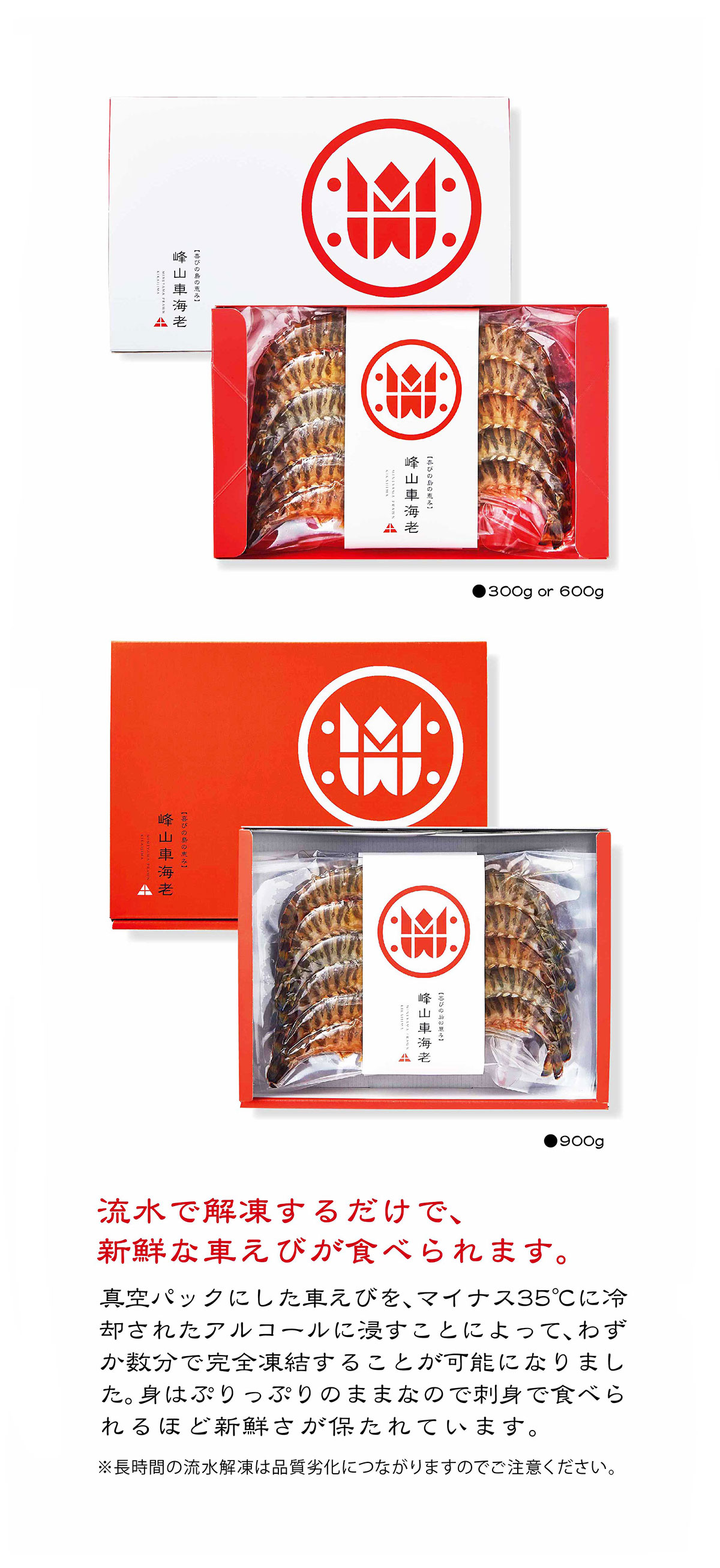 活き〆冷凍車海老